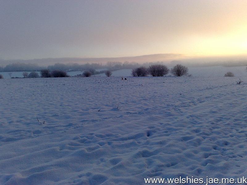 2009-12-23 02.jpg - Can you see us?